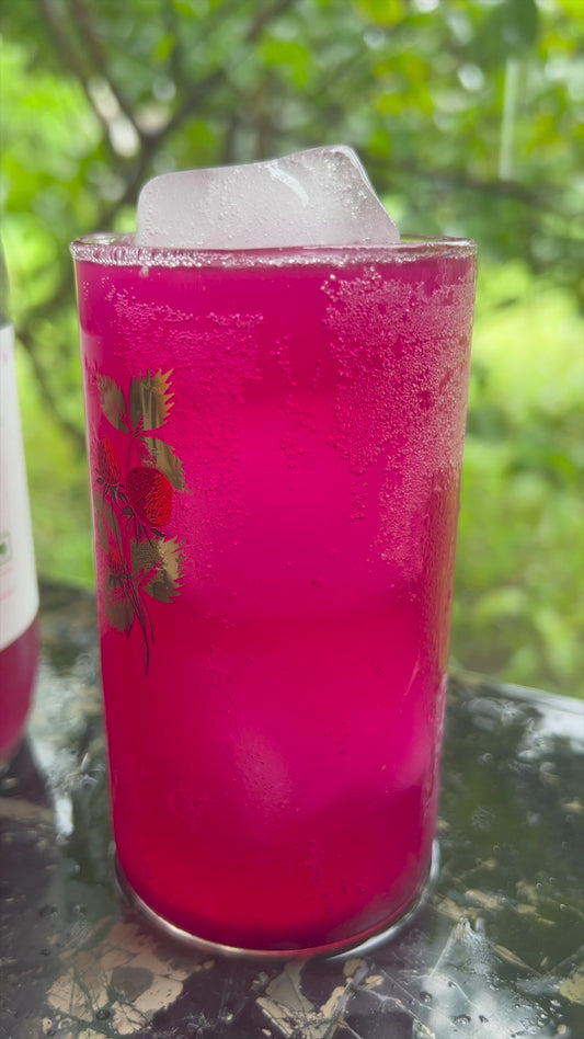 Kombucha-Beetroot Pomegranate 500ml (MUM)