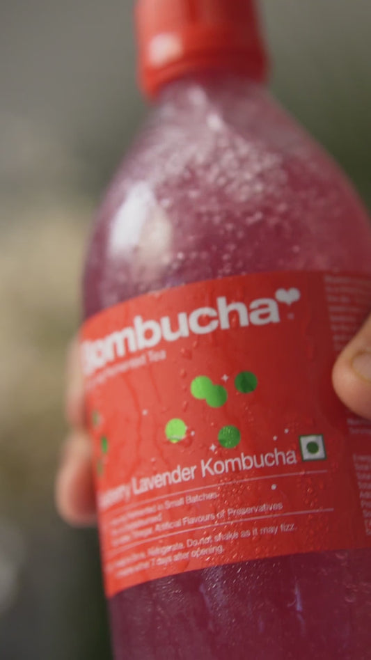 Kombucha-Blueberry Lavender 500ml (MUM)