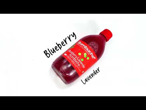Kombucha-Blueberry Lavender 500ml (PUNE)