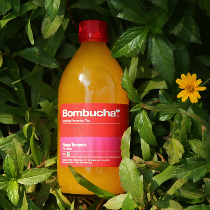 Kombucha-Mango Turmeric 500ml (NCR)