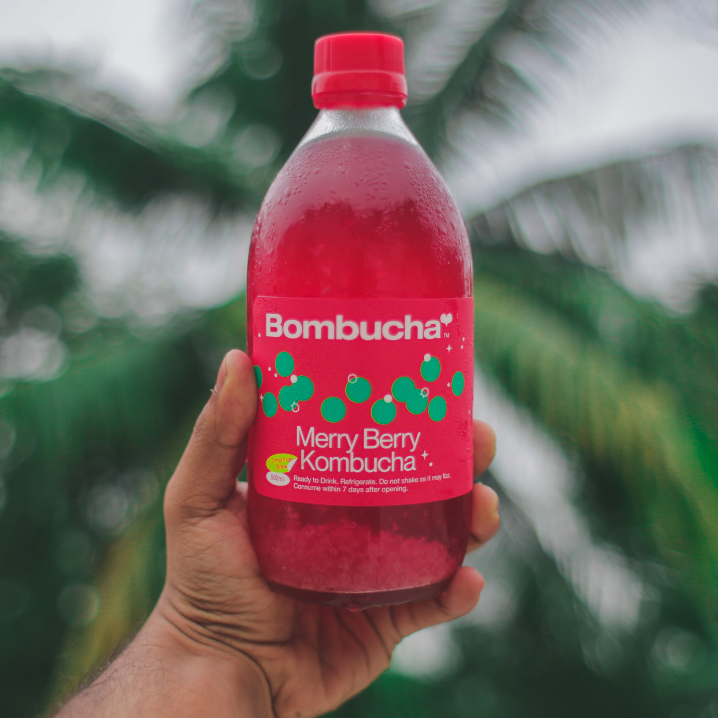 Kombucha-Merry Berry 500ml (HYD)
